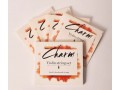 CHARM Synthetic Violin Strings, Quality Hand-made Strings