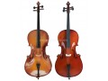 4/4-1/8 Solid Wood Cello for Adult Beginners and Students