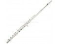 Professional C Key Closed Hole Cupronickel Flute, Silver/Nickel-Plated, 17 Holes, with Split E Mechanism