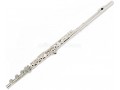 Professional Silver/Nickel Plated C Key Cupronickel Flute, Open/Closed Hole, 17 Holes, with Split E Mechanism
