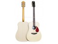 Full Size HPL Tiger Spruce Acoustic Guitar for Beginners, Two Models Selectable