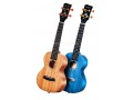 Concert/Tenor Solid Mahogany Ukulele for Kids and Adult Beginners, Two Colors Selectable